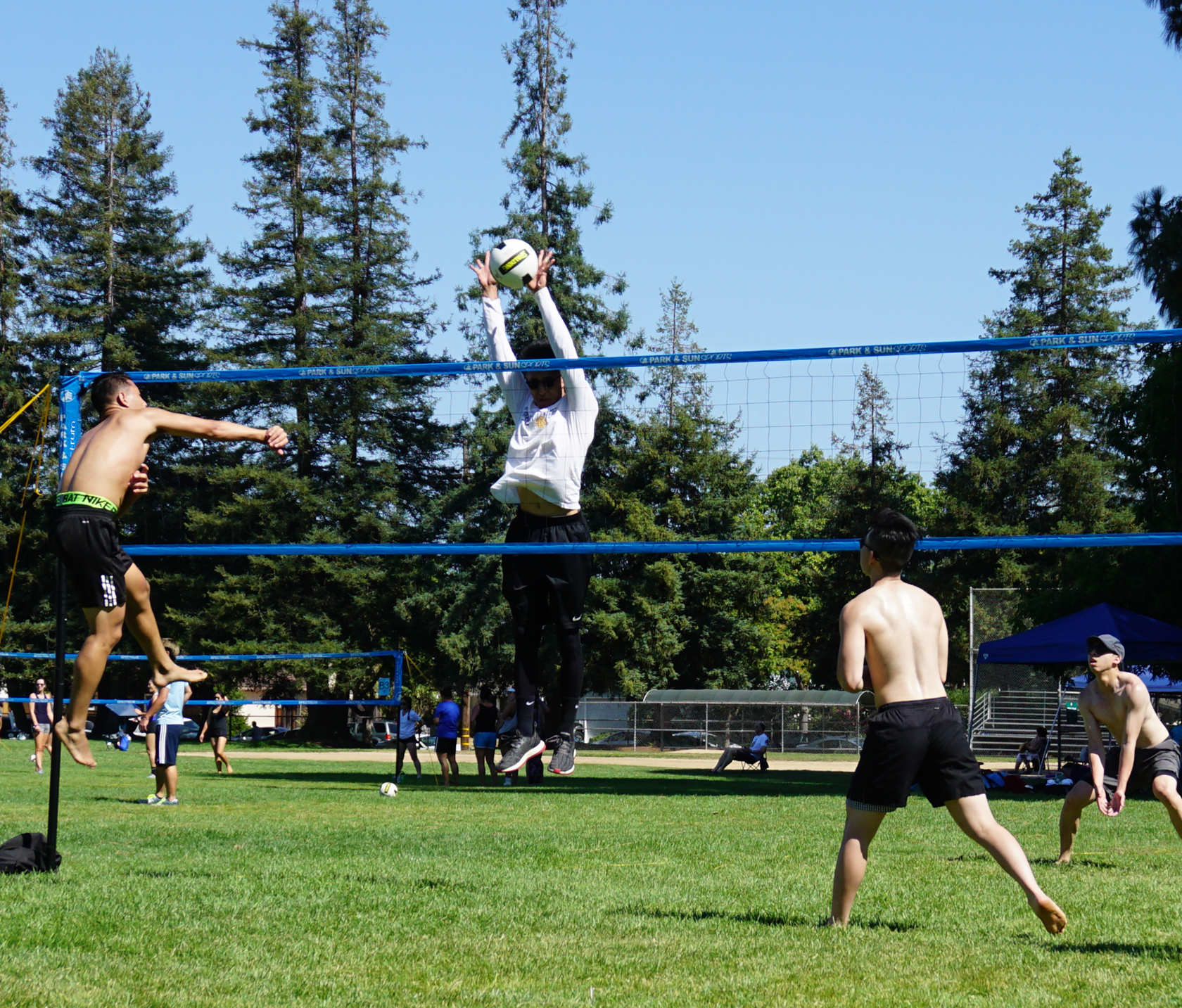 Park and Sports Blue Spectrum Classic Grass Volleyball Action Shot The League Sports San Francisco