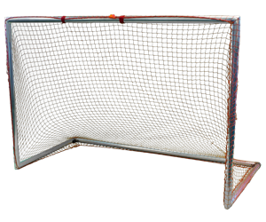 Park and Sun Sports - Whiptail Aluminum Sports Goal